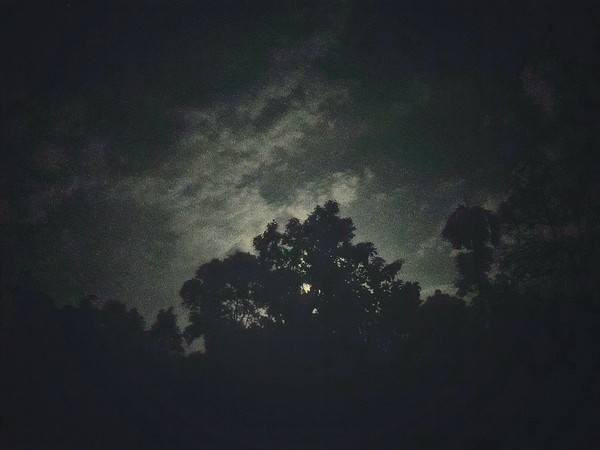 A beautiful picture taken on the new year's eve of 2021 while I was on my usual contemplation of life above my terrace.