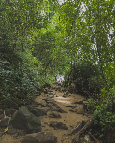 Image taken on an evening trip to paniyeli poru